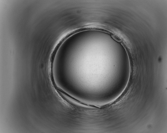 X0000098171376200805011004