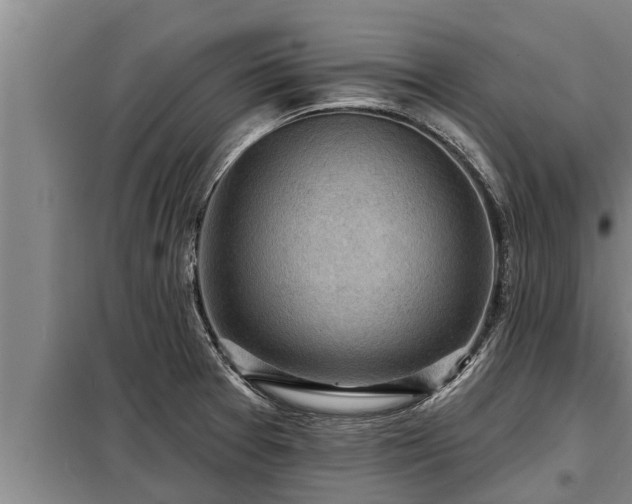 X0000098171377200805011004