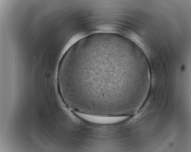 X0000098171378200805011004