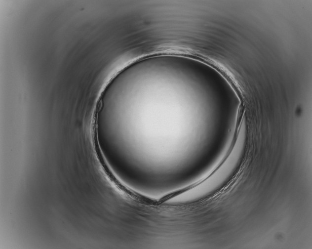 X0000098171379200805011004