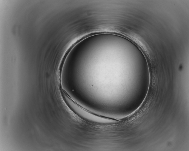 X0000098171380200805011004