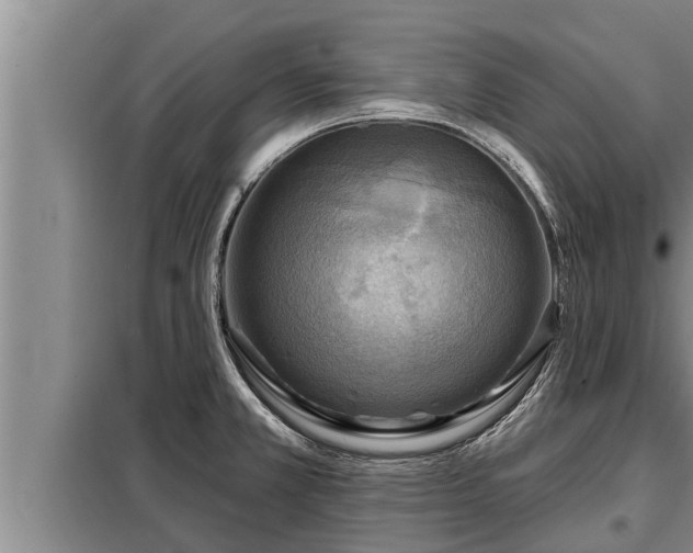 X0000098171381200805011004