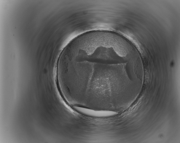 X0000098171383200805011004