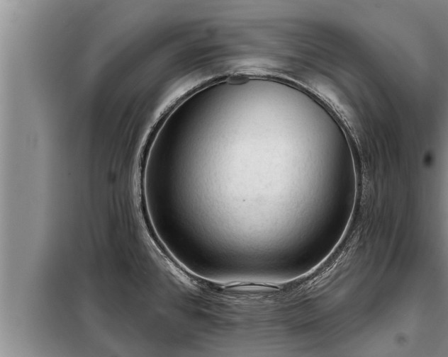 X0000098171384200805011004