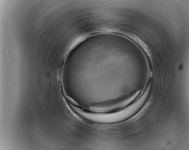 X0000098171385200805011004