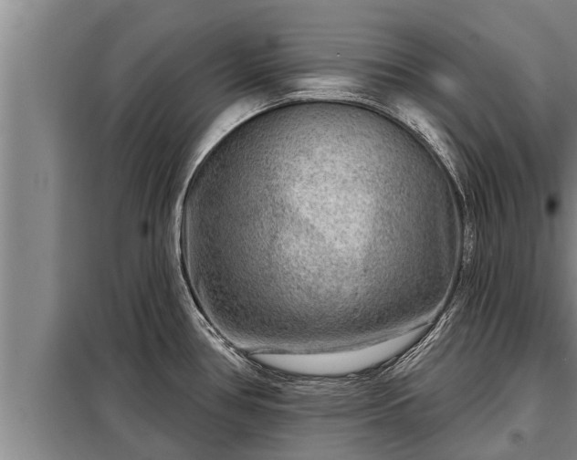 X0000098171386200805011004