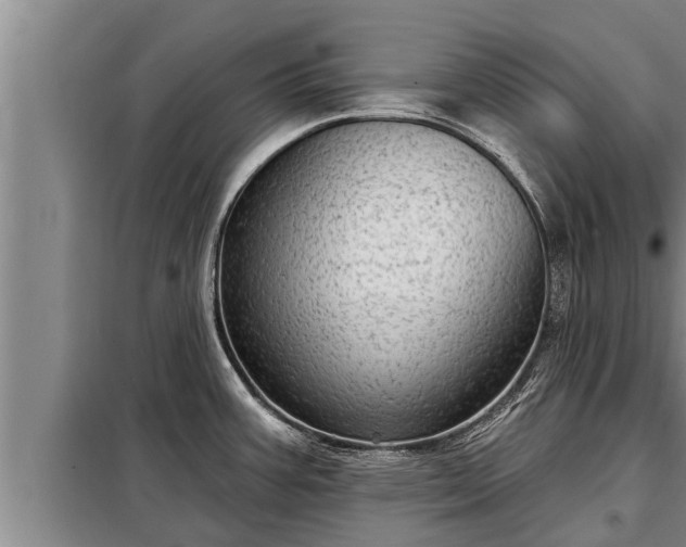 X0000098171387200805011004