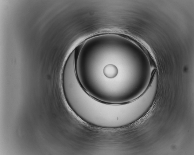 X0000098171389200805011003