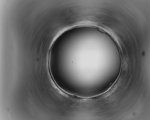 X0000098171390200805011003