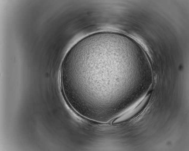 X0000098171391200805011003