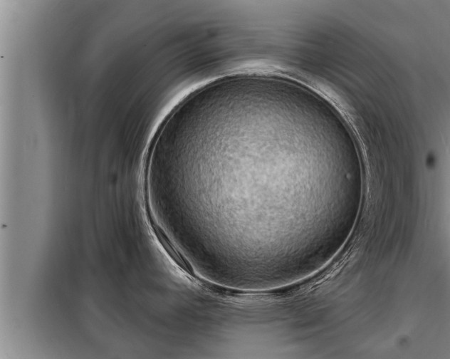 X0000098171392200805011003