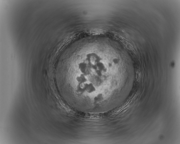 X0000098171393200805011003