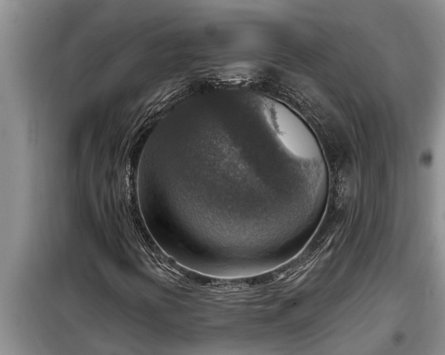 X0000098171394200805011003