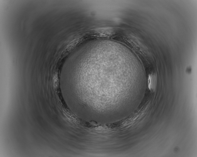 X0000098171395200805011003