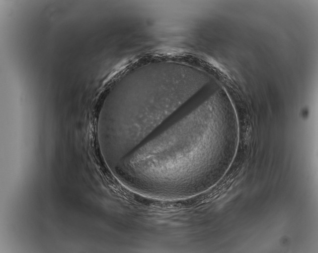 X0000098171397200805011003