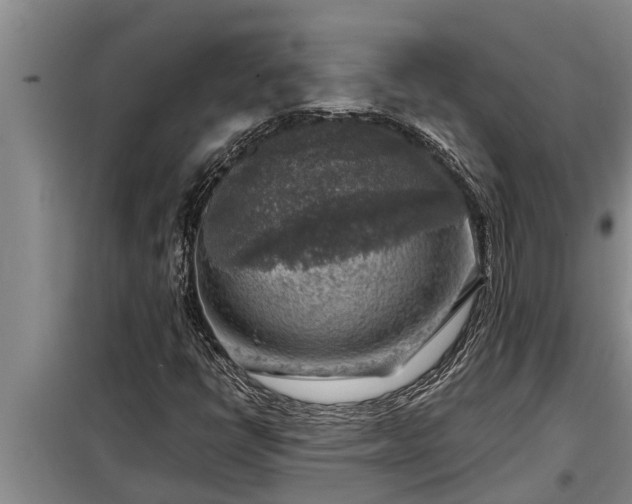 X0000098171398200805011003