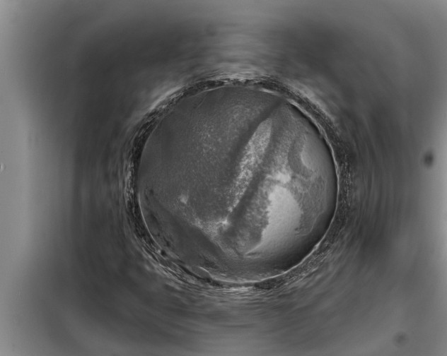 X0000098171399200805011003