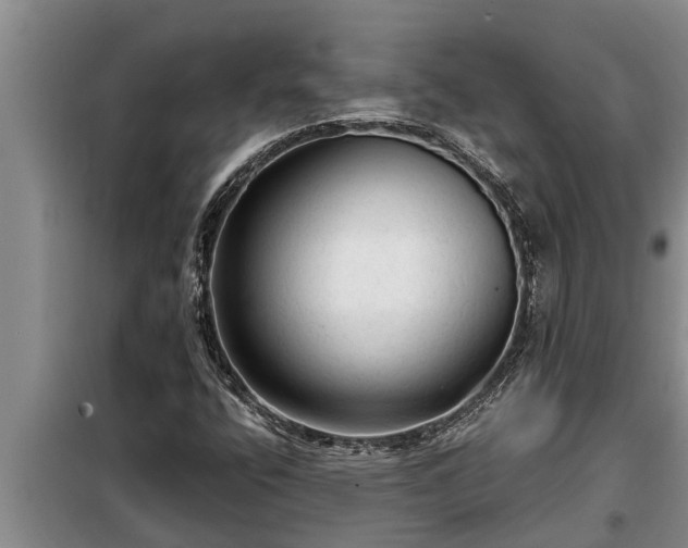 X0000098171400200805011003