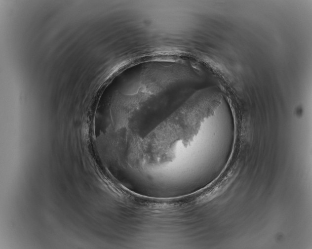 X0000098171401200805011003