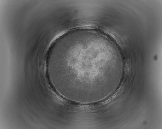 X0000098171402200805011003