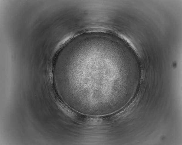 X0000098171403200805011003