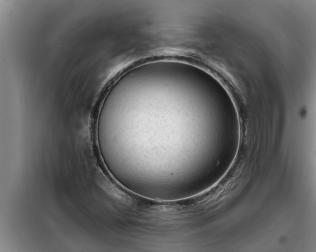 X0000098171404200805011003