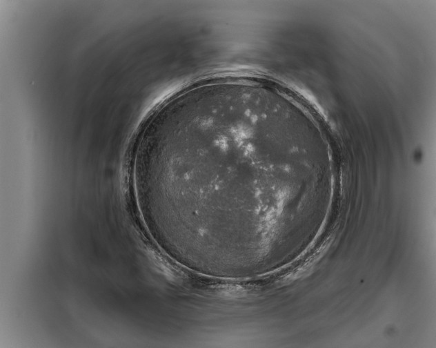 X0000098171405200805011003