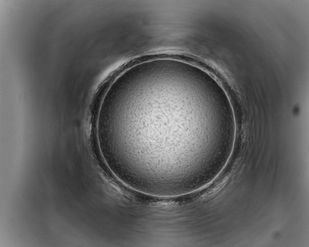 X0000098171406200805011003