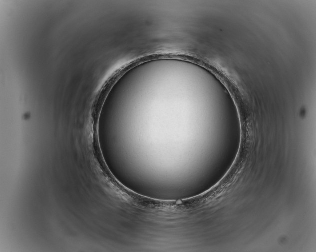 X0000098171408200805011003