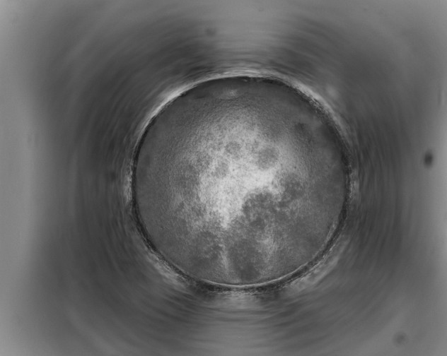 X0000098171409200805011003