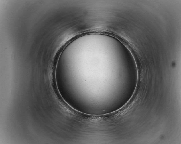 X0000098171410200805011003