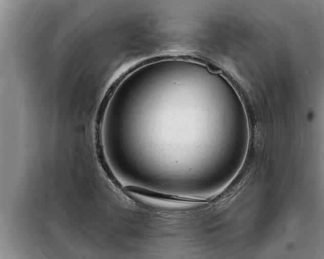 X0000098171412200805011003