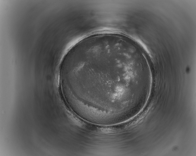 X0000098171413200805011003