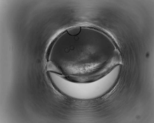 X0000098171414200805011003