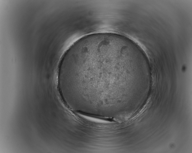 X0000098171415200805011003