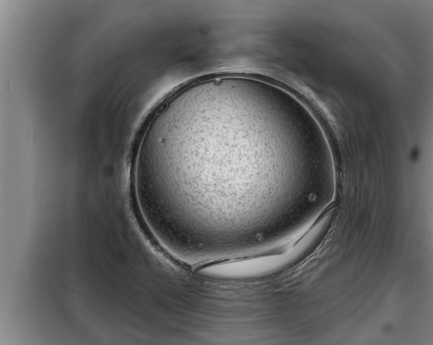 X0000098171416200805011003