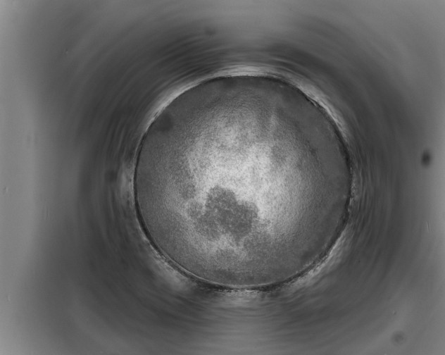 X0000098171417200805011003