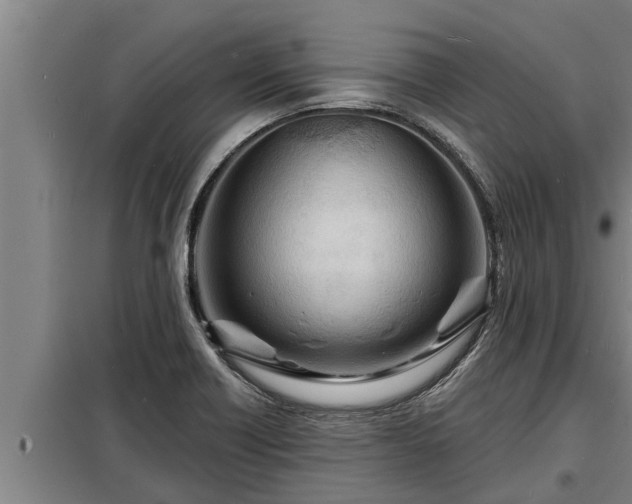 X0000098171418200805011003