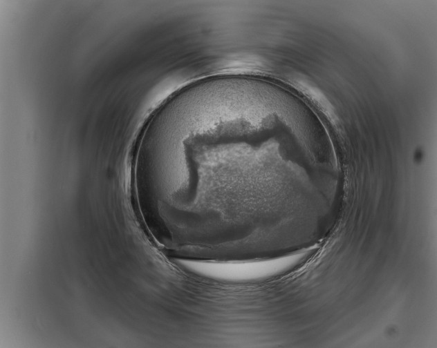 X0000098171419200805011003