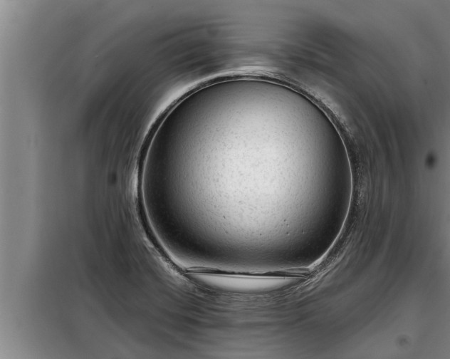 X0000098171420200805011003