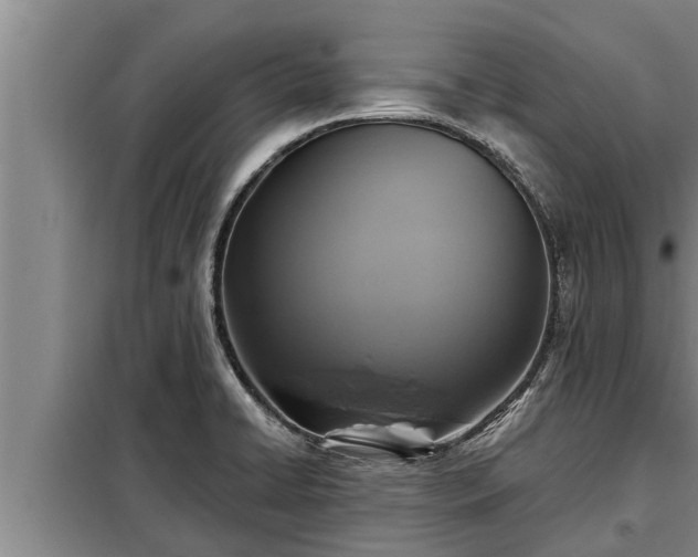 X0000098171422200805011003