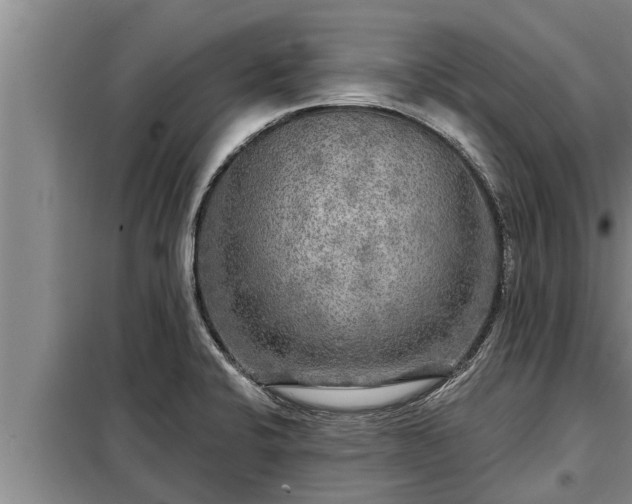 X0000098171424200805011003