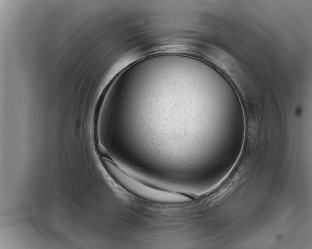 X0000098171426200805011003