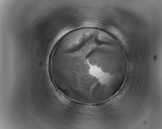 X0000098171427200805011003