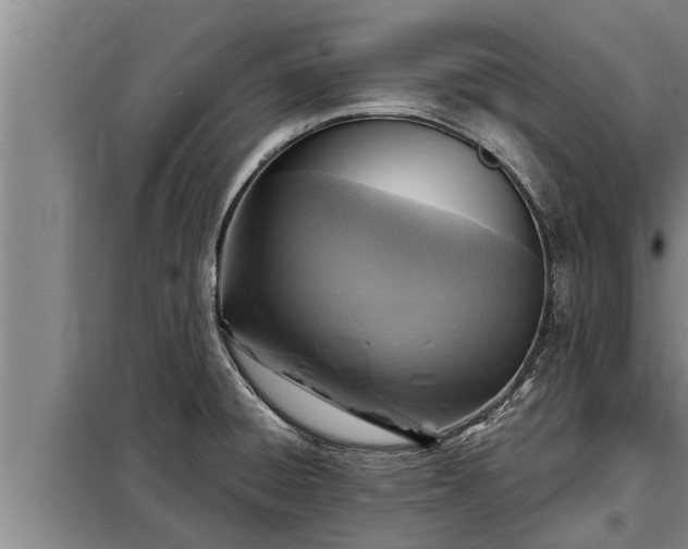 X0000098171428200805011003