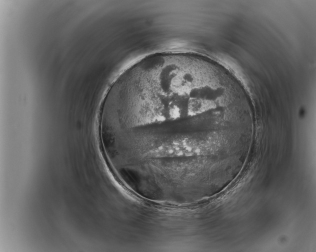 X0000098171429200805011003