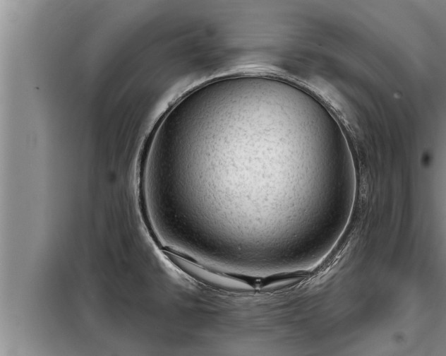 X0000098171430200805011003