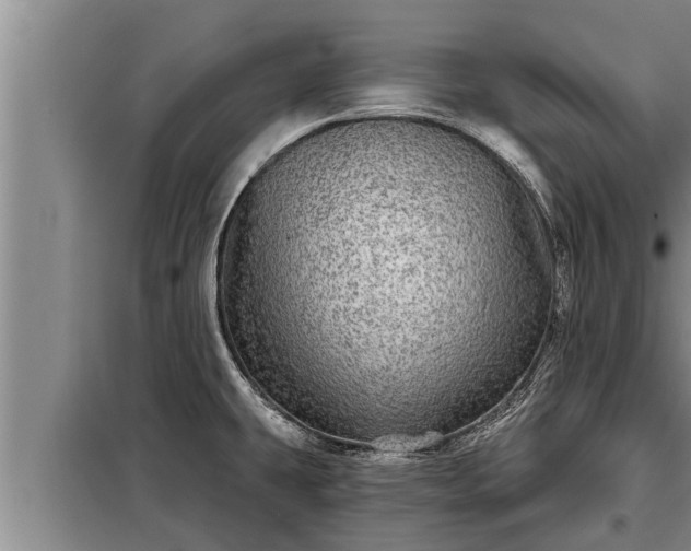 X0000098171431200805011003