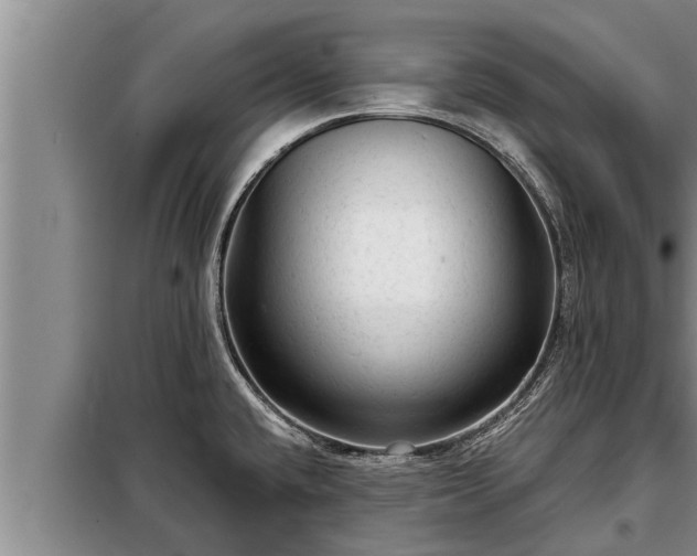 X0000098171432200805011003