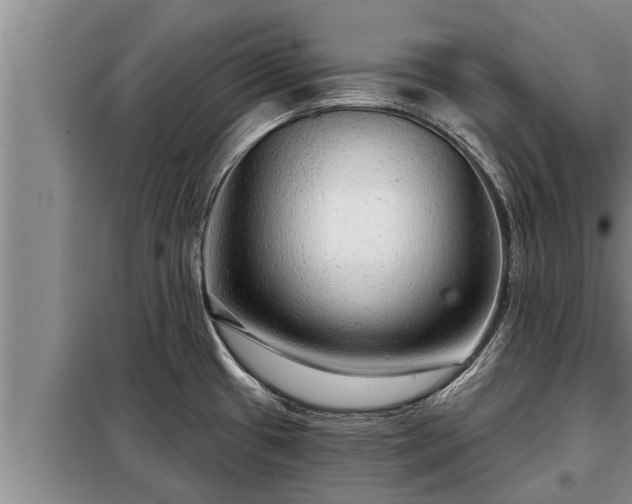 X0000098171433200805011003